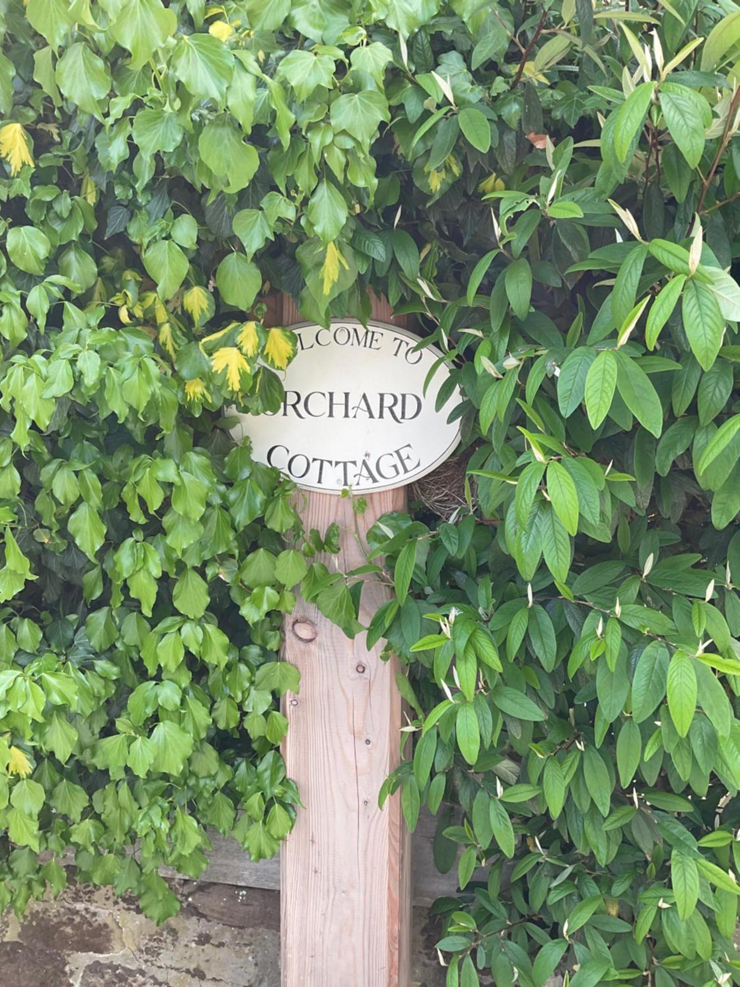 Orchard House Villa Rosedale Abbey Kültér fotó